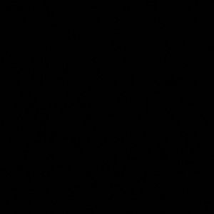 Meet your Posher, Orianna